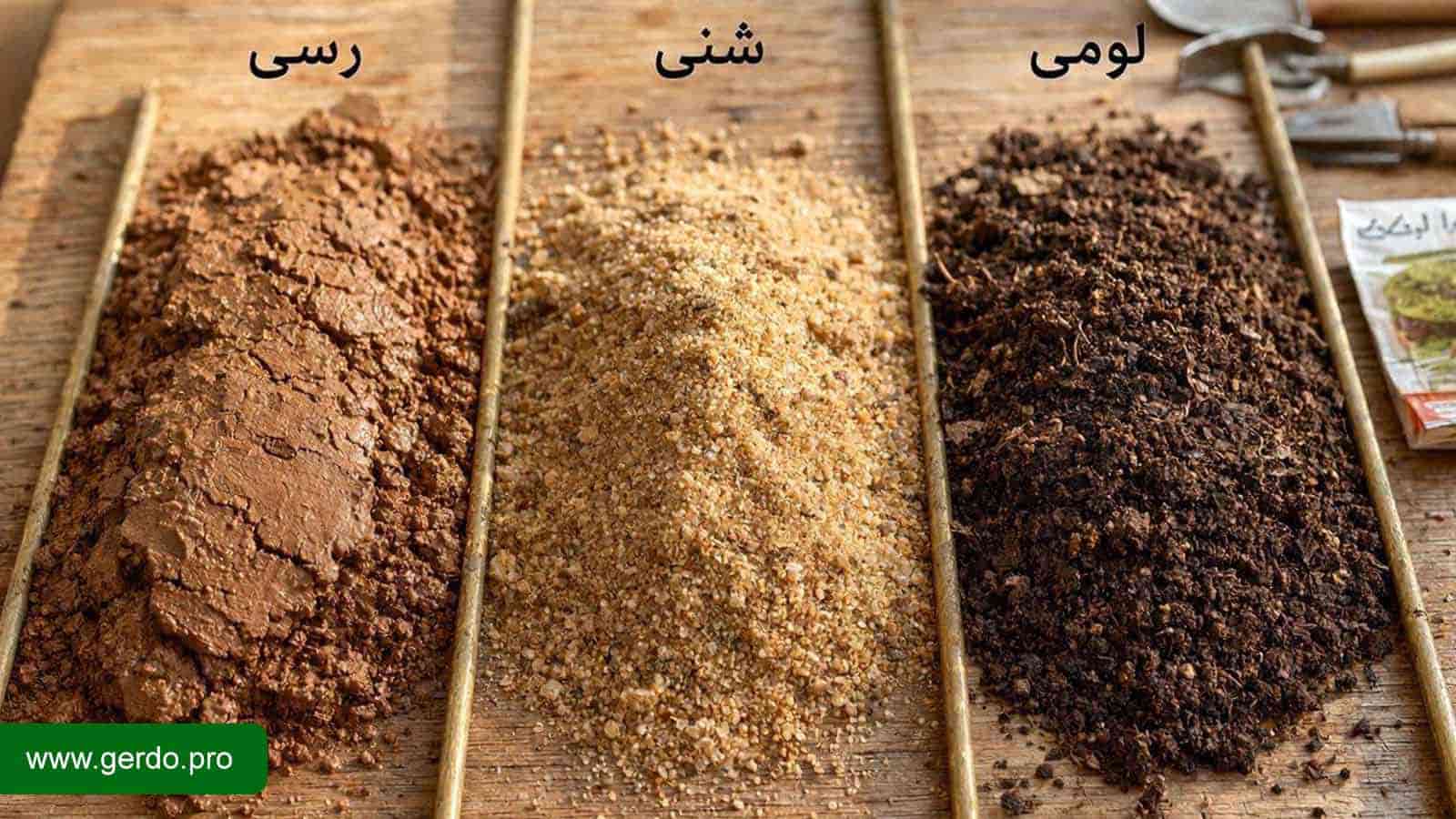 تاثیر نوع خاک بر رشد و استقرار نهال گردو